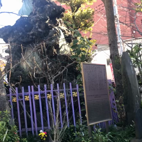 吉原遊廓の画像