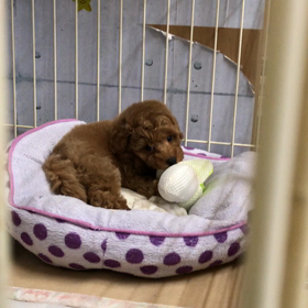 驚いた週末の画像