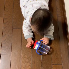 ストローマグのいろいろの画像