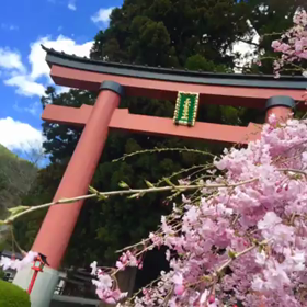 日曜日のぶらり旅の画像