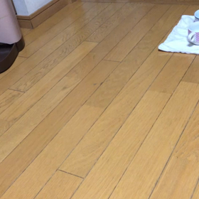 先住猫デールの教育？ジム活…の画像