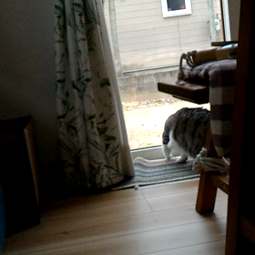 3ヵ月前の今日はの画像