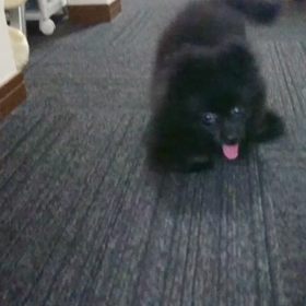 家族が増えた日(みかん)の画像