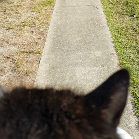 一番乗り！の画像