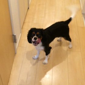 ■あ〜ちゃん大丈夫です■の画像