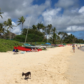 LANIKAI Beachの画像