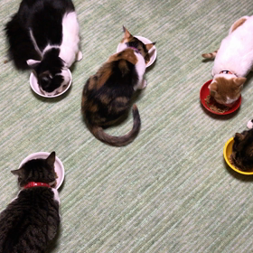 今日の朝ごはん☺️の画像