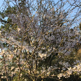 ブログ 〜４月１７日…〜.の画像