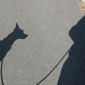 親バカでもありますが…。　(*ﾉω・*)ﾃﾍの画像