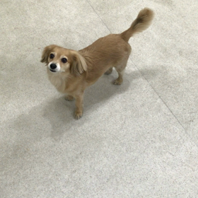 ♪プレイルーム動画♪②の画像