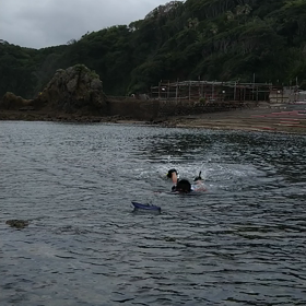 ミノカサゴの画像