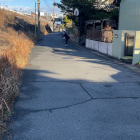 ジェーボーの画像