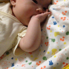 指しゃぶりの様子の画像