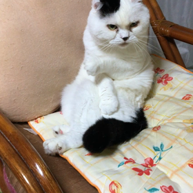 男の身だしなみの画像