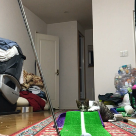 パター練習の画像