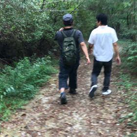 森林浴…の画像