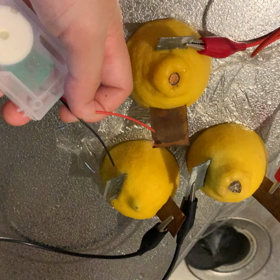 レモン電池、成功！の画像