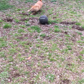 ローリングケリーの画像