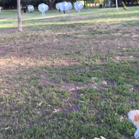 新しいタイプのフィットネス？の画像