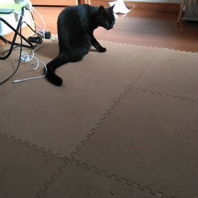 侵入者ありの画像