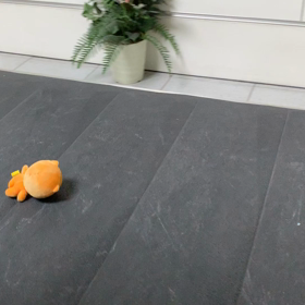 金海空港→福岡空港到着した時に…（笑）（注意 音声あり）の画像