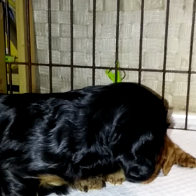 元気だね！の画像