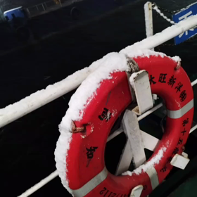 金曜日はカレーの日！の画像