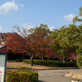 紅葉の中の世界遺産・2022年 11月 16日の画像