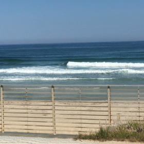 続NSA島根支部予選の画像