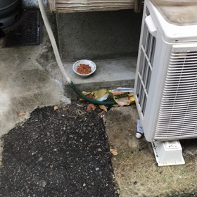 毎年恒例の…の画像