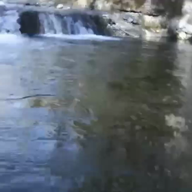 水中動画の画像