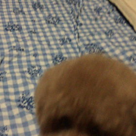 お風呂入るよ！の画像