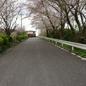 ほんのちょっとの間にの画像