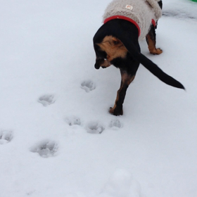 初・動画アップの画像