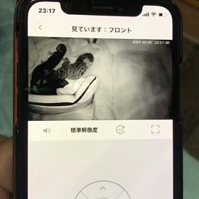 ペットカメラの画像