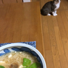 ジム活でスッキリ！夕食はにゃんずとにゅうめん。の画像