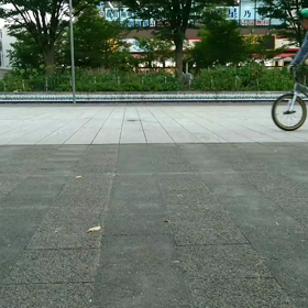 マックサークル14日の画像