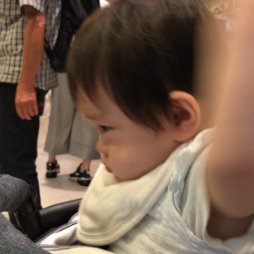 ペットショップで大興奮！の画像