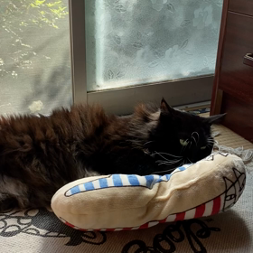 私の好きな（×_×）･･･ﾔﾗﾚﾀの画像