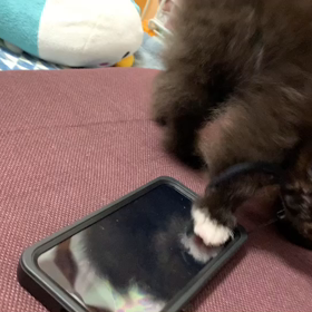 とりあえず一安心の画像