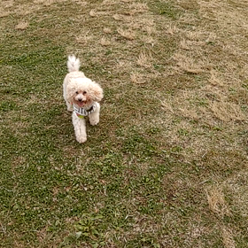 寒かった～の画像