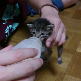 2014年12月9日(火)の画像