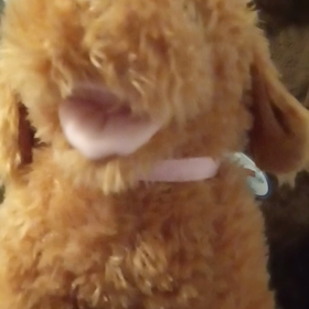 20代で亡くなったおばちゃんの画像