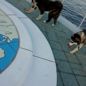 遊んでくれない;;の画像