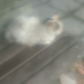 お知らせの画像