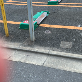 逃げないの画像