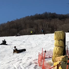 2020 1/11 イエティの画像