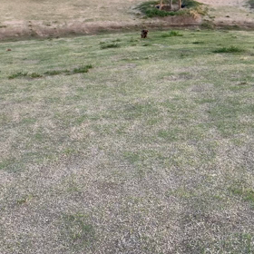 撮り溜めていたうさぎ動画⑤の画像