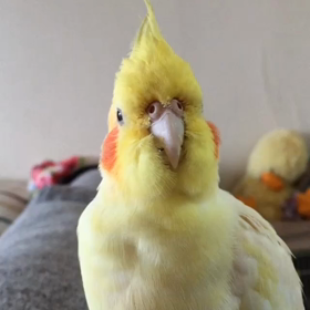 おネム♡の画像