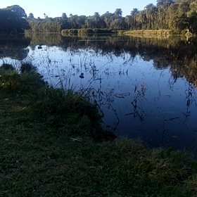 検査強化！の画像